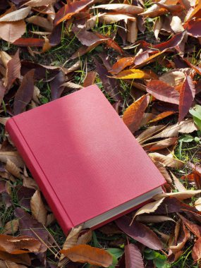 Kitap ve sonbahar akçaağaç yaprakları