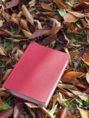 Kitap ve sonbahar akçaağaç yaprakları