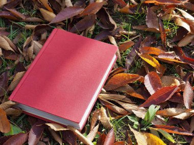 Kitap ve sonbahar akçaağaç yaprakları