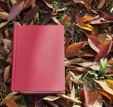 Kitap ve sonbahar akçaağaç yaprakları