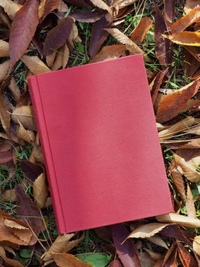 Kitap ve sonbahar akçaağaç yaprakları