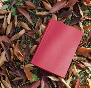 Kitap ve sonbahar akçaağaç yaprakları