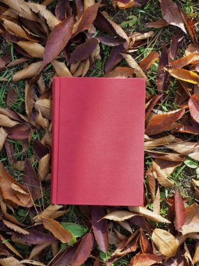 Kitap ve sonbahar akçaağaç yaprakları