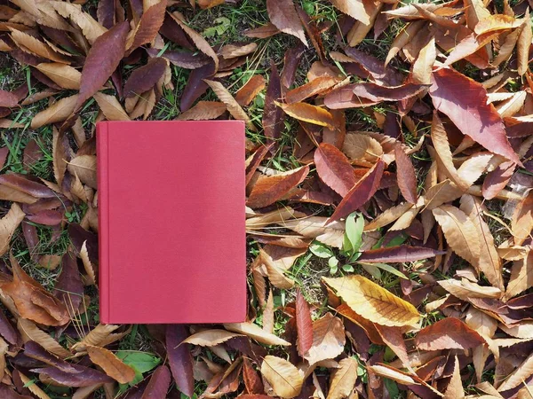 Książki Jesiennych Liści Klonu — Zdjęcie stockowe