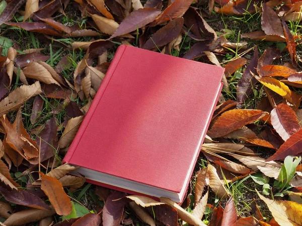 Books and autumn maple leaves