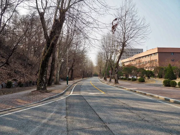Kore Yol Manzara Bir Motorlu Karayolu — Stok fotoğraf