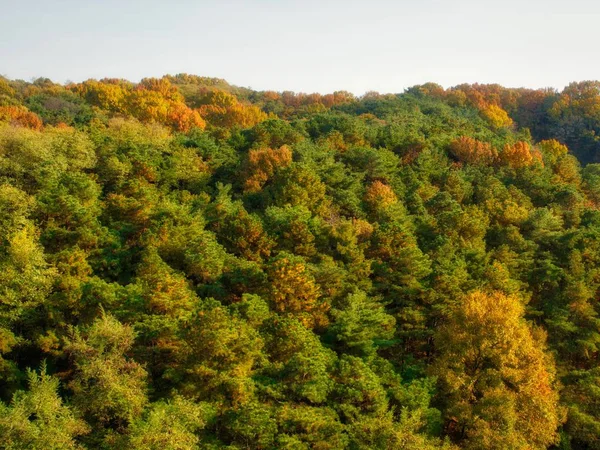 Bos Landschap Van Korea Cheongju Stad — Stockfoto