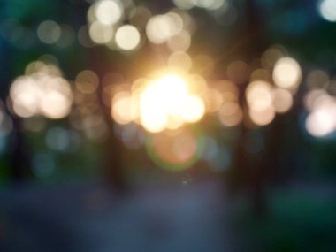 Ormanda yaprak bokeh, odağını kaybetmiş