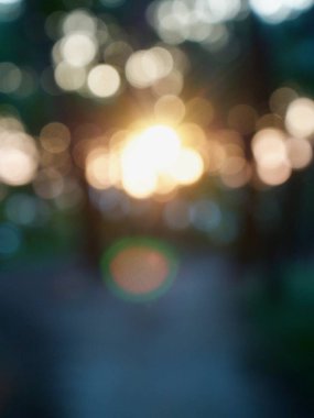 Ormanda yaprak bokeh, odağını kaybetmiş