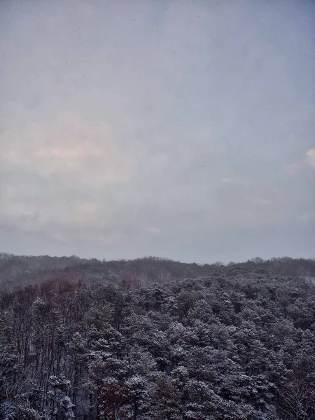 Schneebedeckter Winterberg Der Stadt Cheongju Korea — Stockfoto