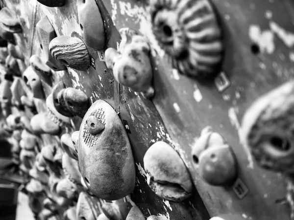 Indoor Rock Climbing Hold, Black and white photo