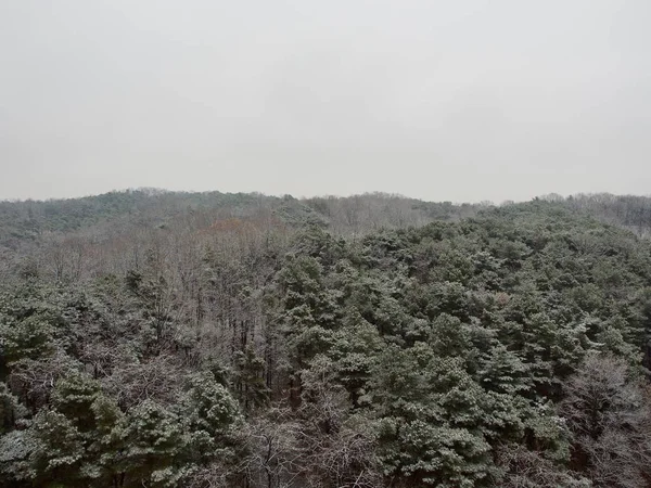 Zimní Zasněžené Hory Městě Cheongju Korea — Stock fotografie