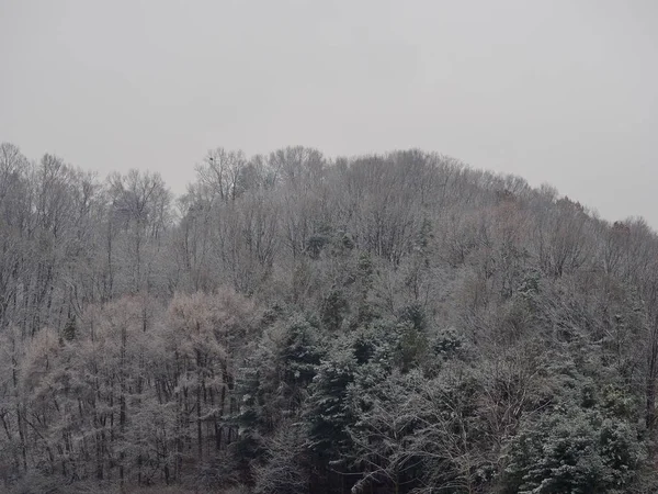 Montaña Nevada Invierno Ciudad Cheongju Corea — Foto de Stock