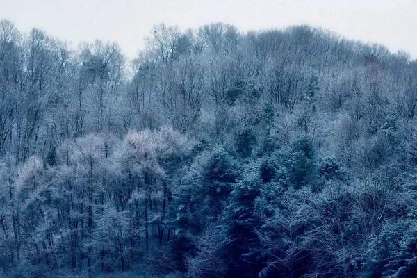 Montagne Enneigée Hiver Dans Ville Cheongju Corée — Photo