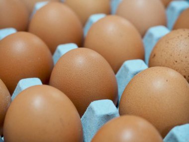 Bir sepet ve taze yumurta yumurta