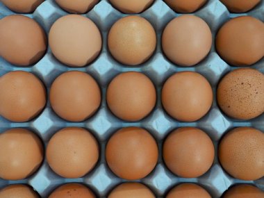 Bir sepet ve taze yumurta yumurta