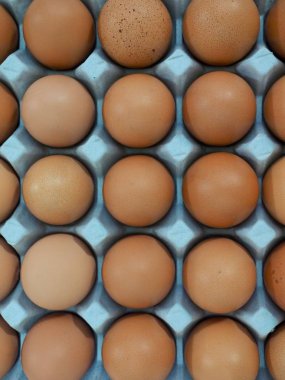 Bir sepet ve taze yumurta yumurta