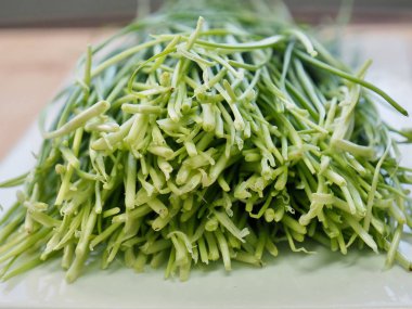 Kore taze sebze Chives 