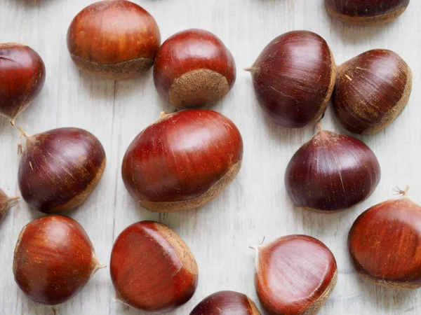 Südkoreanische Herbstkastanie — Stockfoto