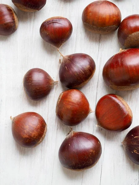 Südkoreanische Herbstkastanie — Stockfoto