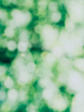 Ormanda yaprak bokeh, odağını kaybetmiş