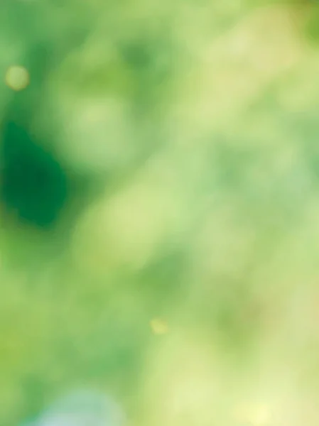 Ormanda yaprak bokeh, odağını kaybetmiş