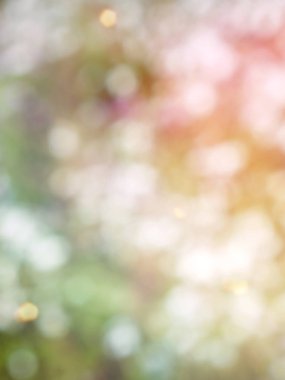 Ormanda yaprak bokeh, odağını kaybetmiş