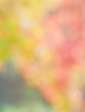 Ormanda yaprak bokeh, odağını kaybetmiş