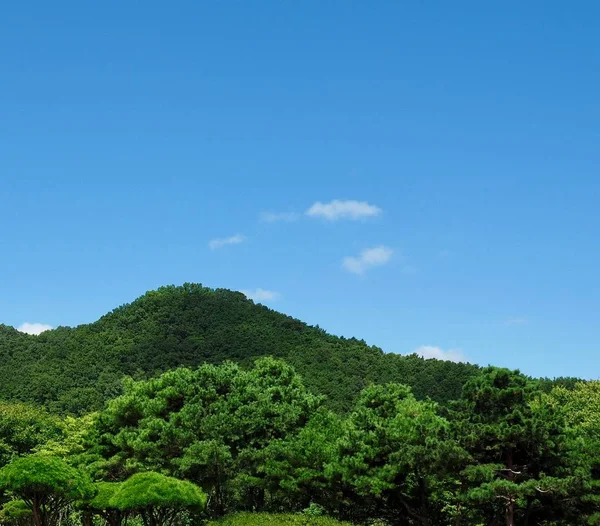 Les Montagnes Coréennes Nuages Ciel Bleu Ville Cheongju — Photo