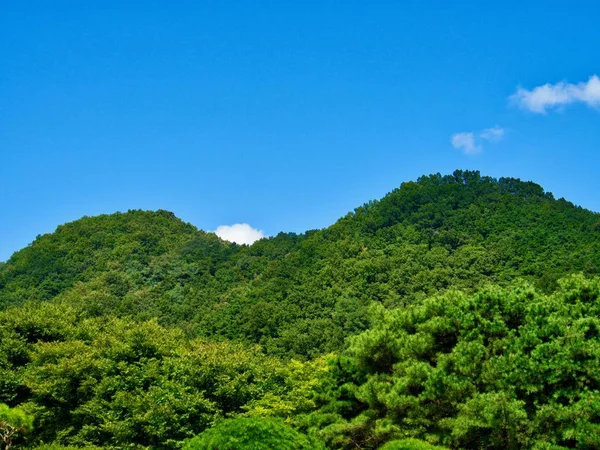 韓国の山々 青い空 清州市 — ストック写真