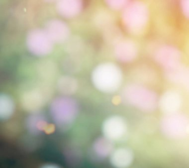 Ormanda yaprak bokeh, odağını kaybetmiş