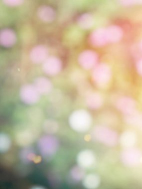 Ormanda yaprak bokeh, odağını kaybetmiş