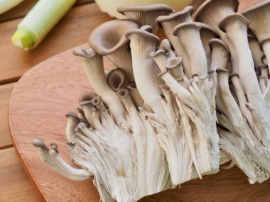 İstiridye mantar ve sebzeler, havuç, soğan