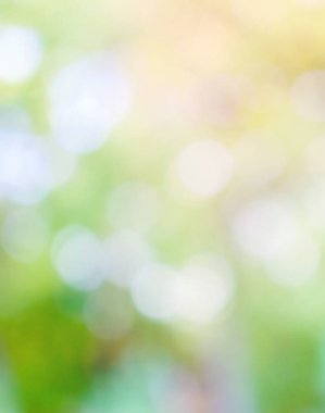 Ormanda yaprak bokeh, odağını kaybetmiş