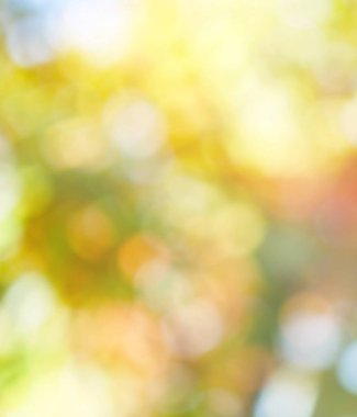 Ormanda yaprak bokeh, odağını kaybetmiş