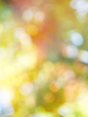 Ormanda yaprak bokeh, odağını kaybetmiş