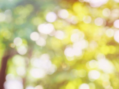 Ormanda yaprak bokeh, odağını kaybetmiş