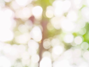 Ormanda yaprak bokeh, odağını kaybetmiş