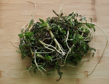 Kore yemeği malzemeler Shepherd's çanta