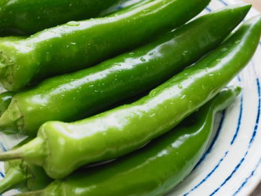 Kore sebze yeşil biber