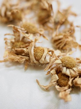 Asya bitki çayı, Chrysanthemum çayı