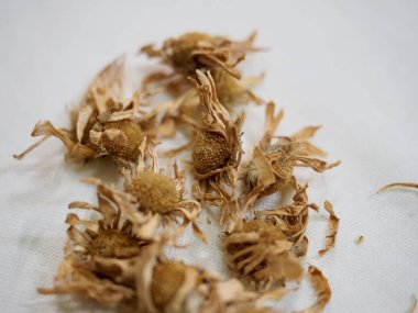 Asya bitki çayı, Chrysanthemum çayı