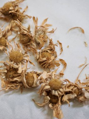 Asya bitki çayı, Chrysanthemum çayı