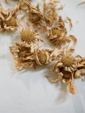 Asya bitki çayı, Chrysanthemum çayı