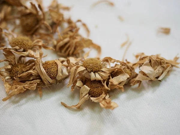 Asian herbal tea, Chrysanthemum tea