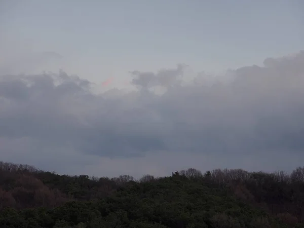 Lesní Cloud Západu Slunce Šířku — Stock fotografie