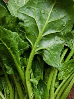 Kore taze organik ıspanak.