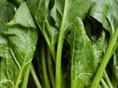 Kore taze organik ıspanak.