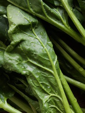 Kore taze organik ıspanak.