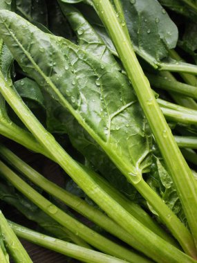 Kore taze organik ıspanak.